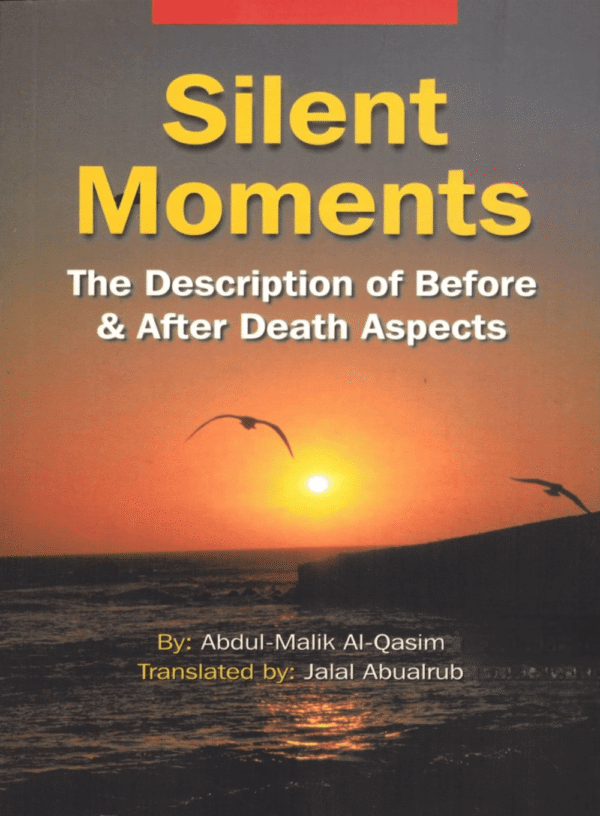 Silent Moments The Description Of Before And After Death Aspects